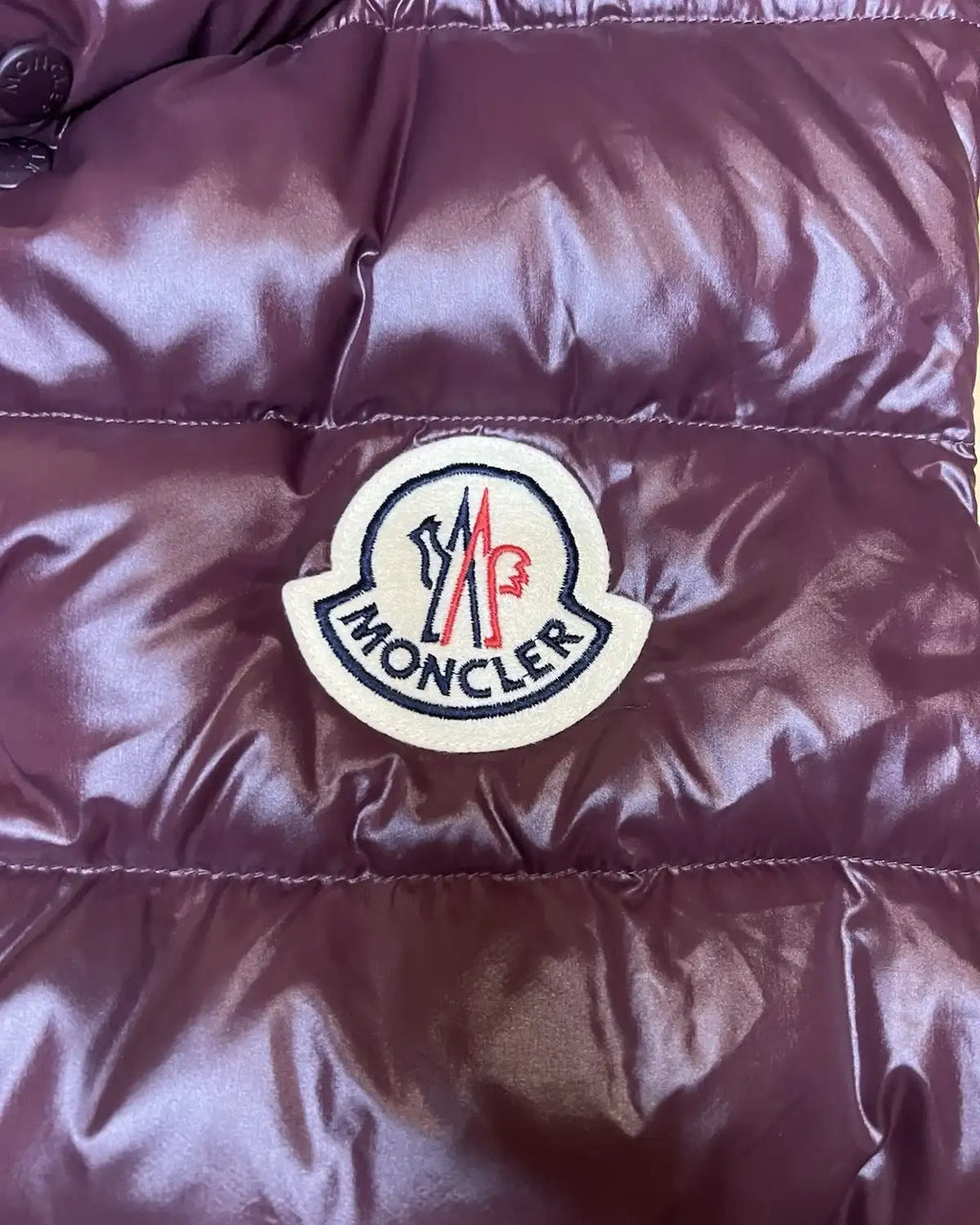 Moncler Tibet Gilet